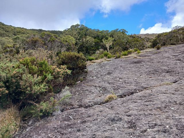 LPT20_Weg_ST_2025_quer_005.jpg
