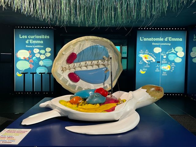LPT21_Museum_quer_005.jpeg