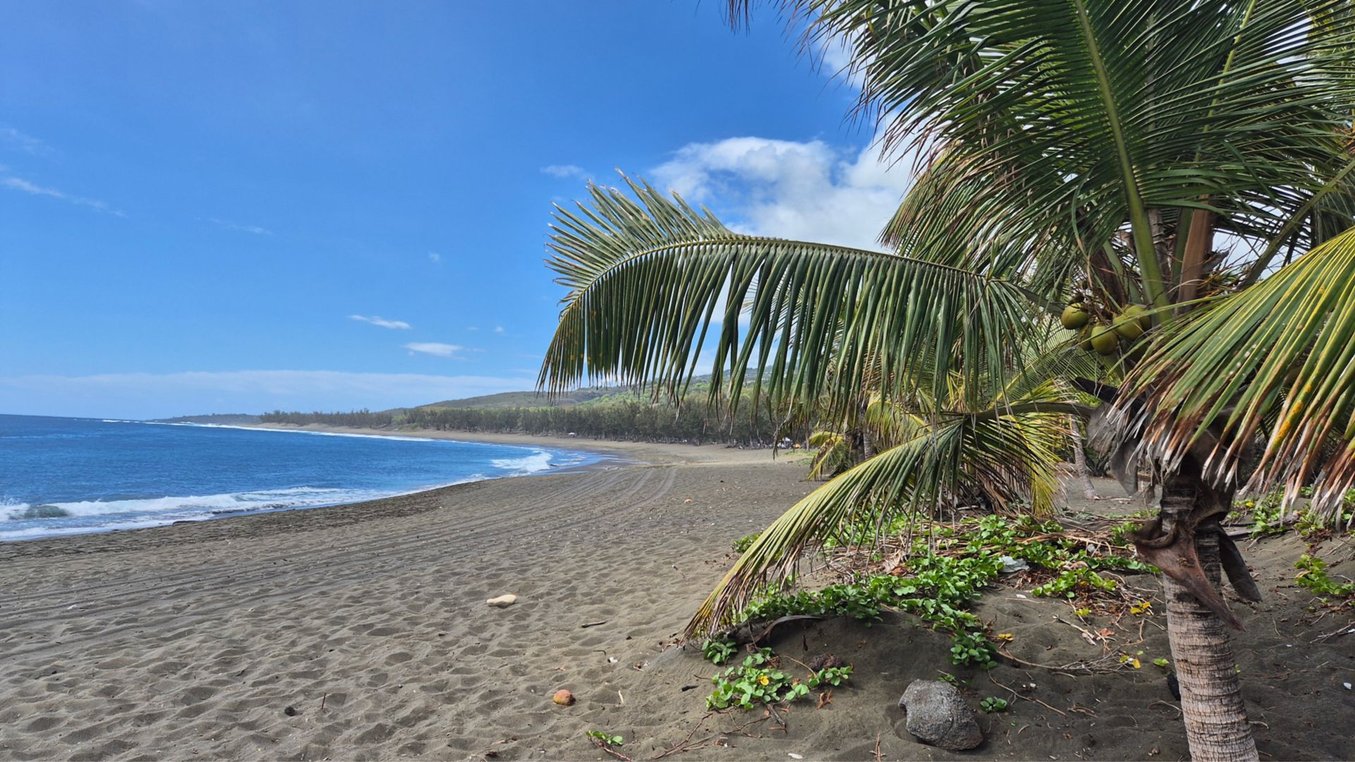LPT30_StrandlEtangSale_2025_ST_quer_001.jpg