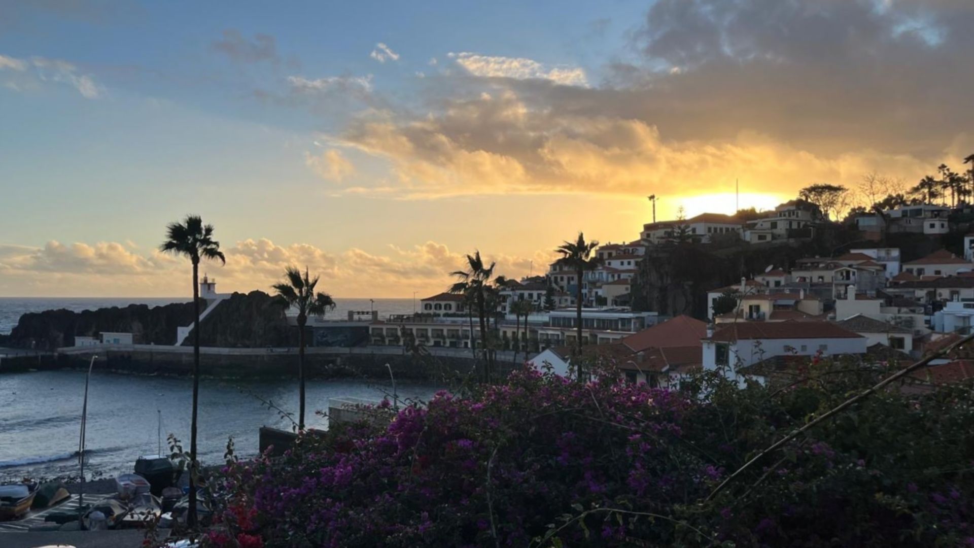 Camara de Lobos am Abend – Wein & Funchallichter