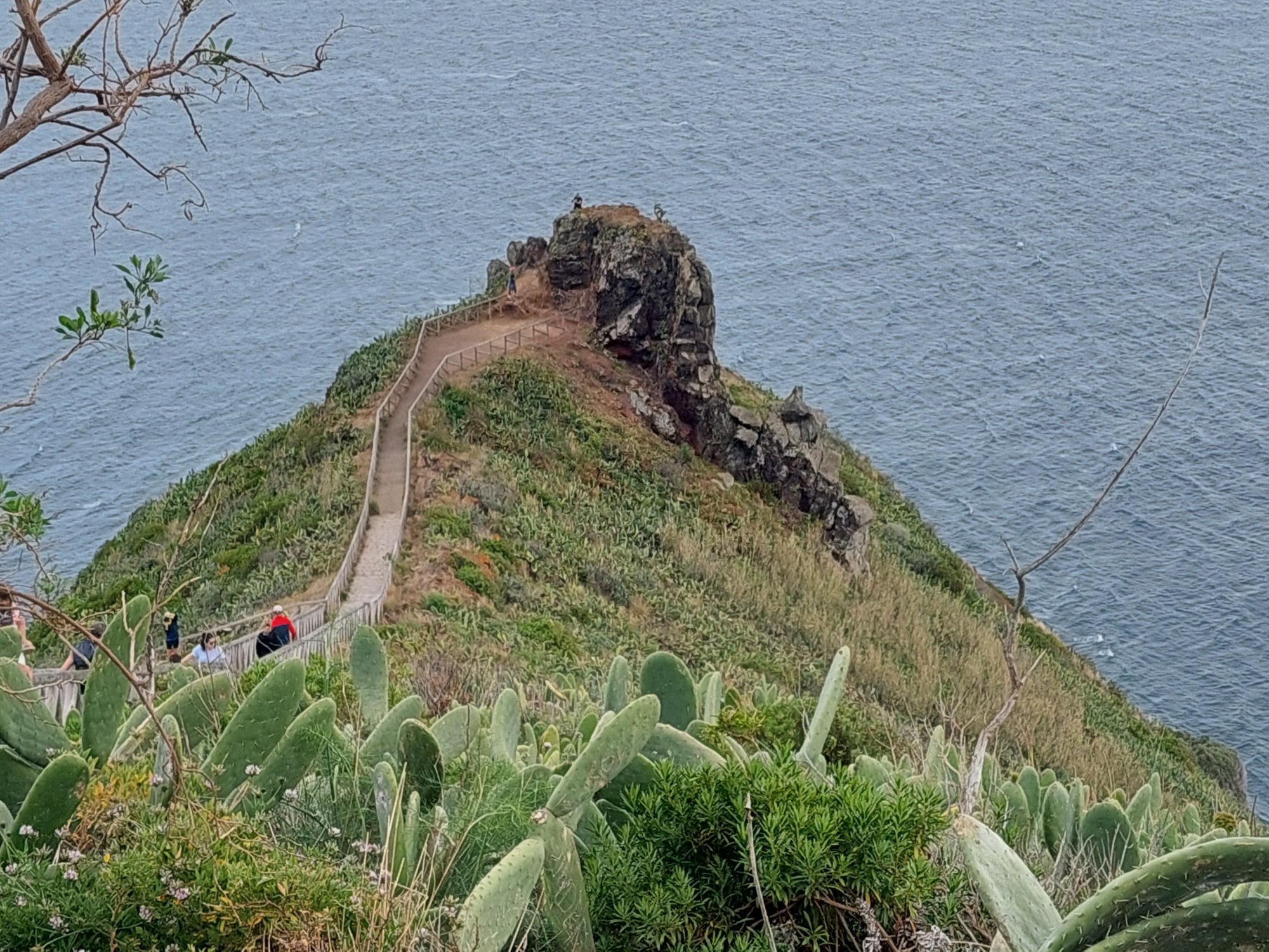 MAD