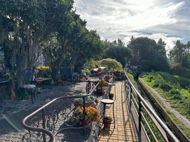 Levada dos Tornos: Wandern im Eukalyptusduft