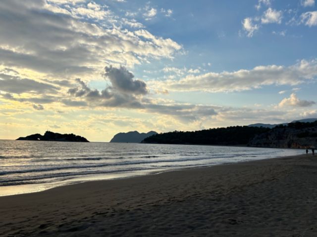 MAR