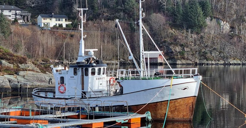 Mit dem Fischerboot zum Angeln im Fjord