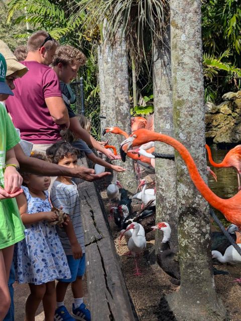 MIA06_FeedingFlamingoes_DNA_2025_hoch.jpg