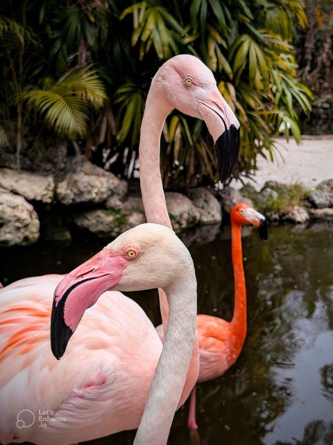 Flamingo Gardens – Natur pur in Südflorida