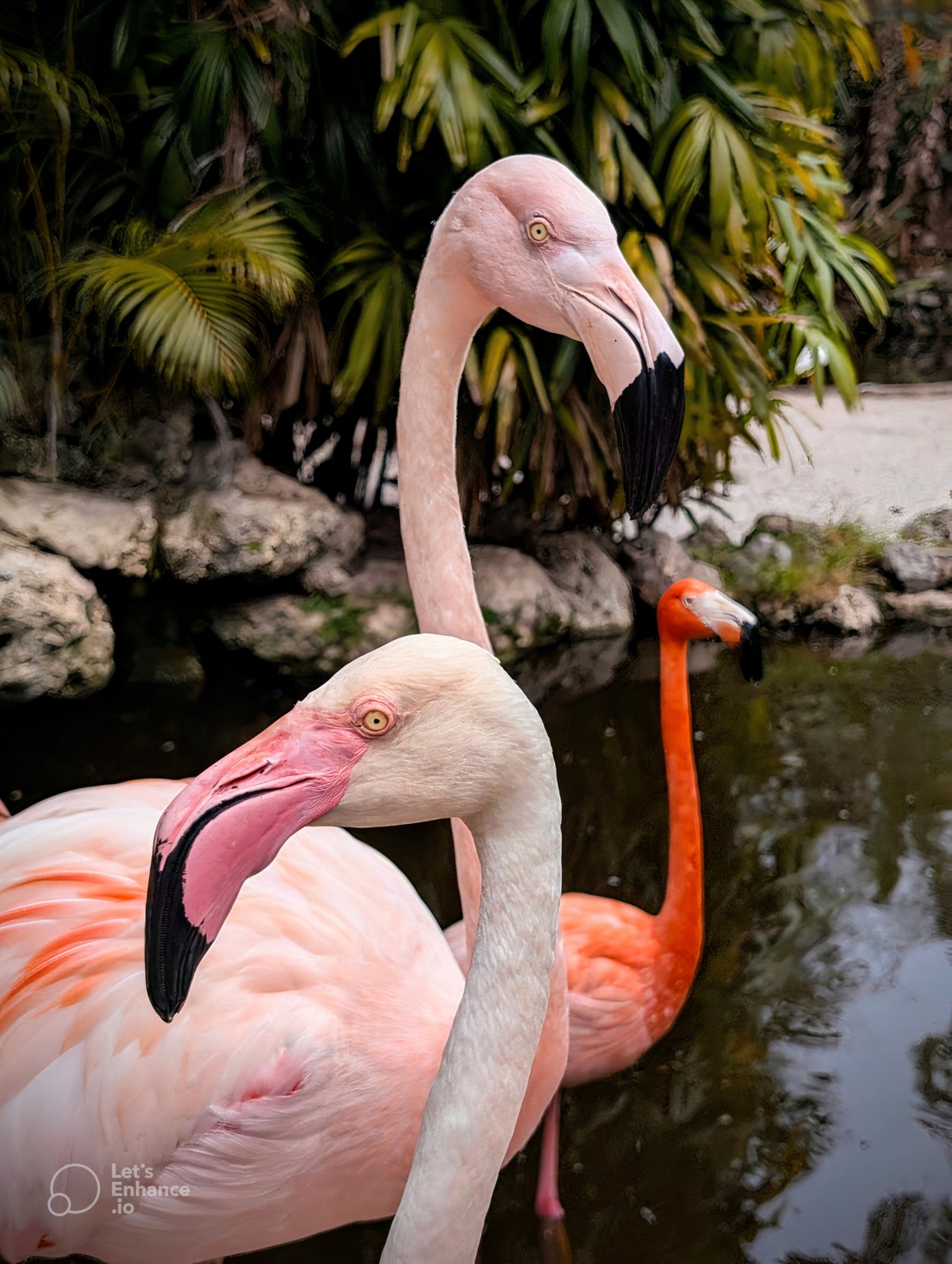 Flamingo Gardens – Natur pur in Südflorida