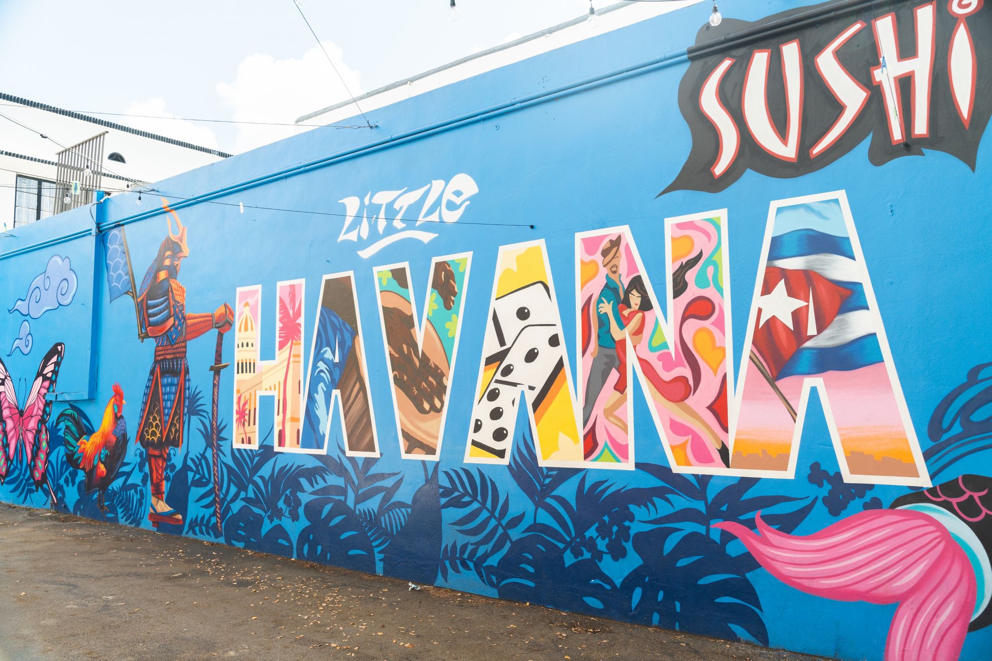 MIA08_LittleHavana6_DNA_2025_quer.jpg