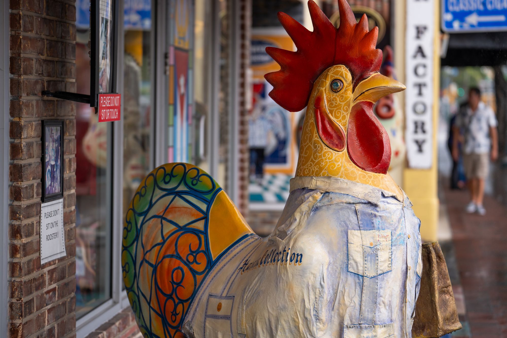 MIA08_LittleHavana7_DNA_2025_quer.jpg