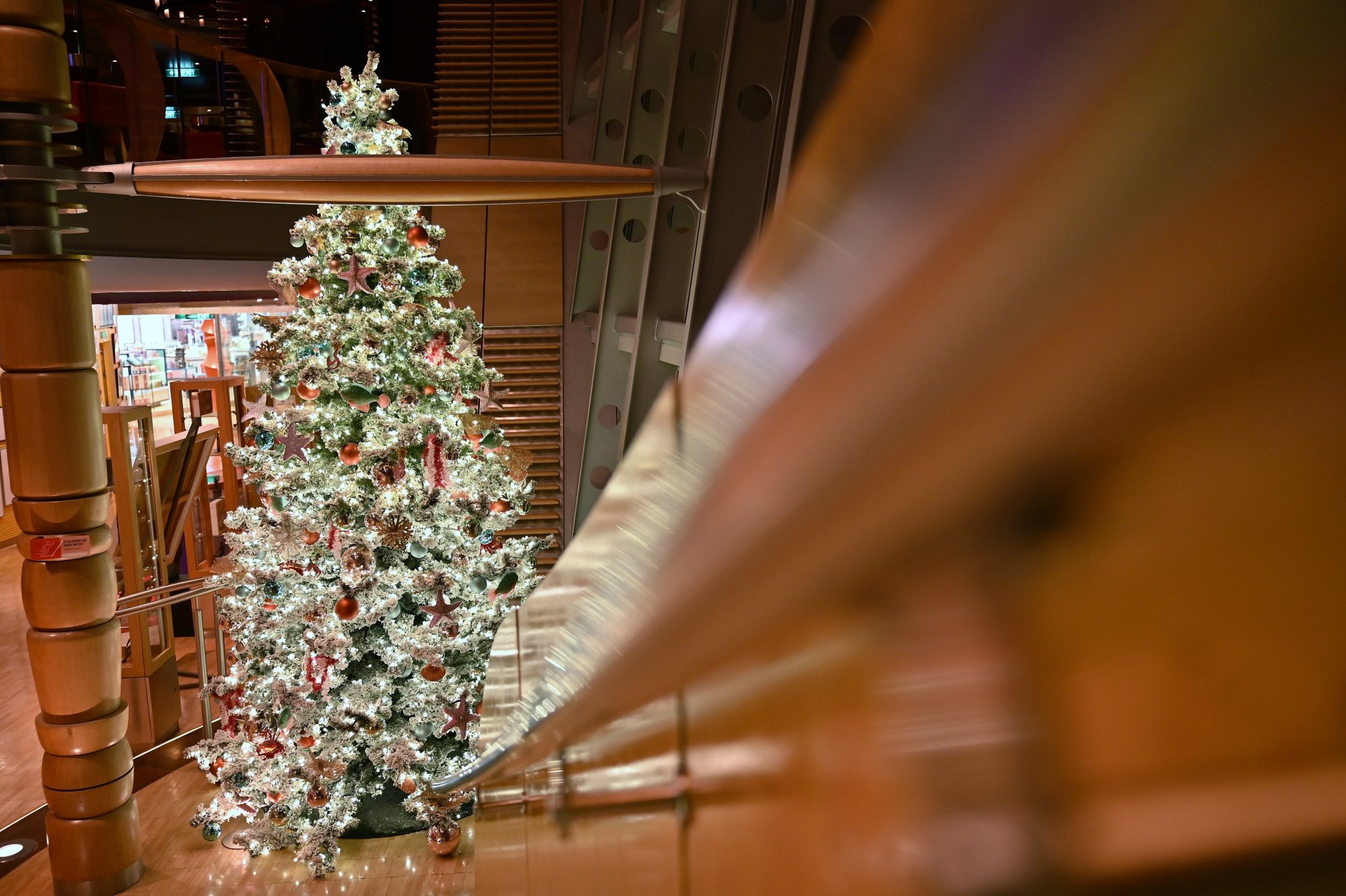 Weihnachtsbaum auf AIDA