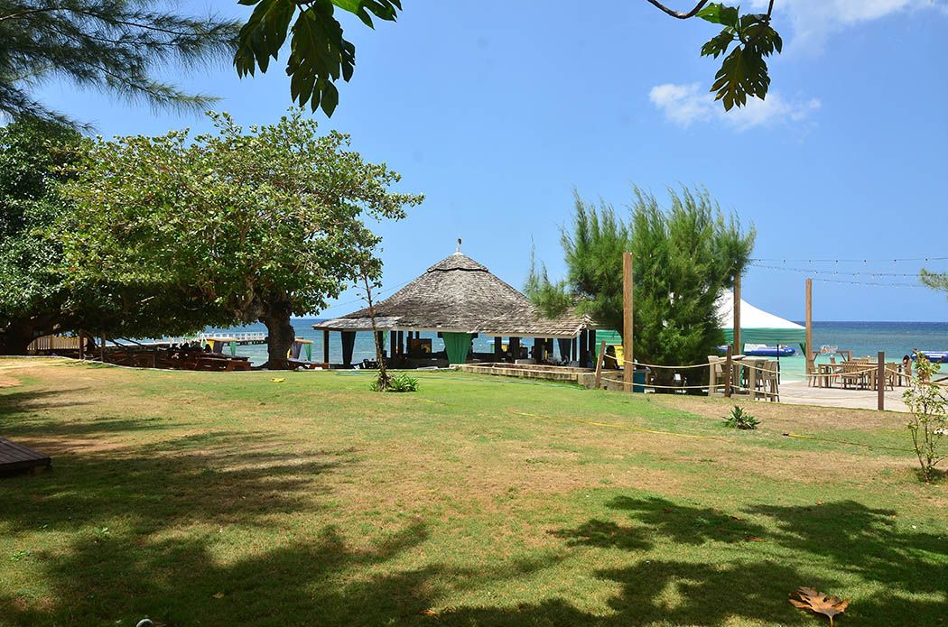 MOB_MOB01_TropicalBliss_WorldTours_2025_quer2.jpg