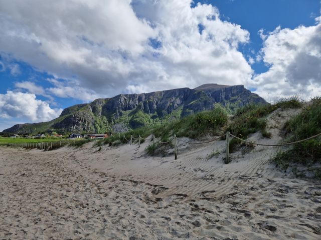 MOL55_Strandwanderung_PR_2025_quer_010.jpg