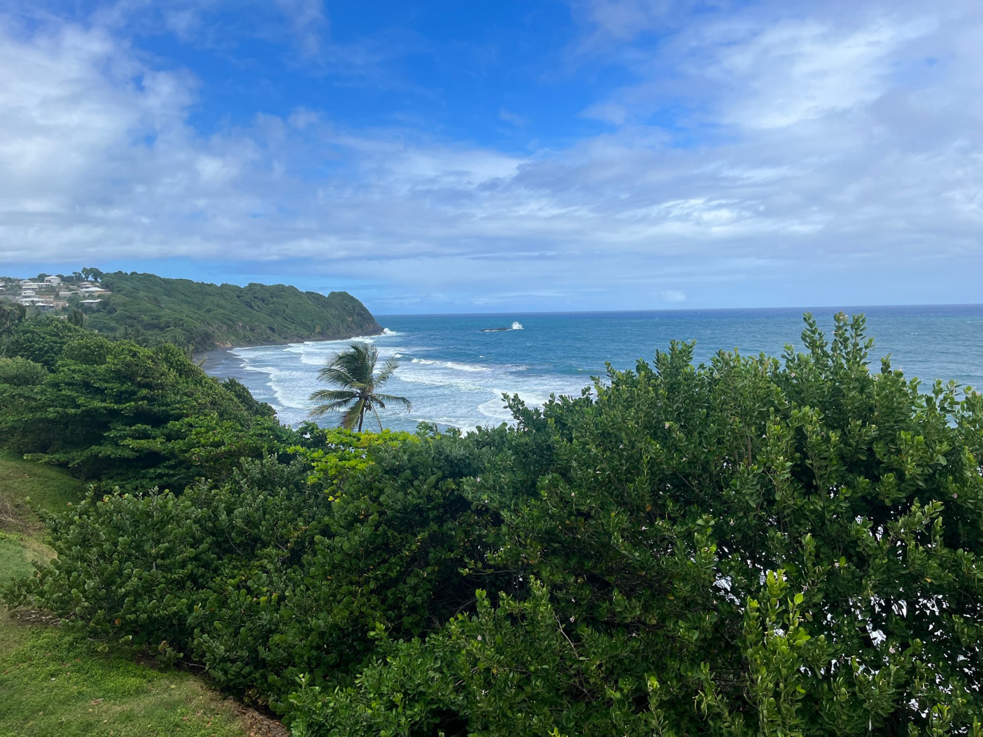 Typisch Martinique