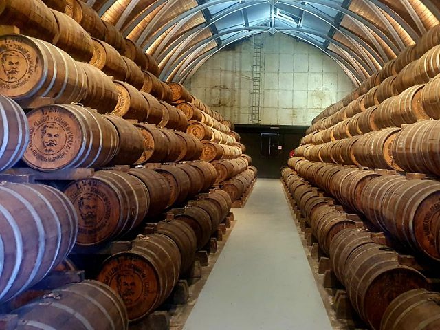Zwischen Rum & Regenwald – Martinique entdecken