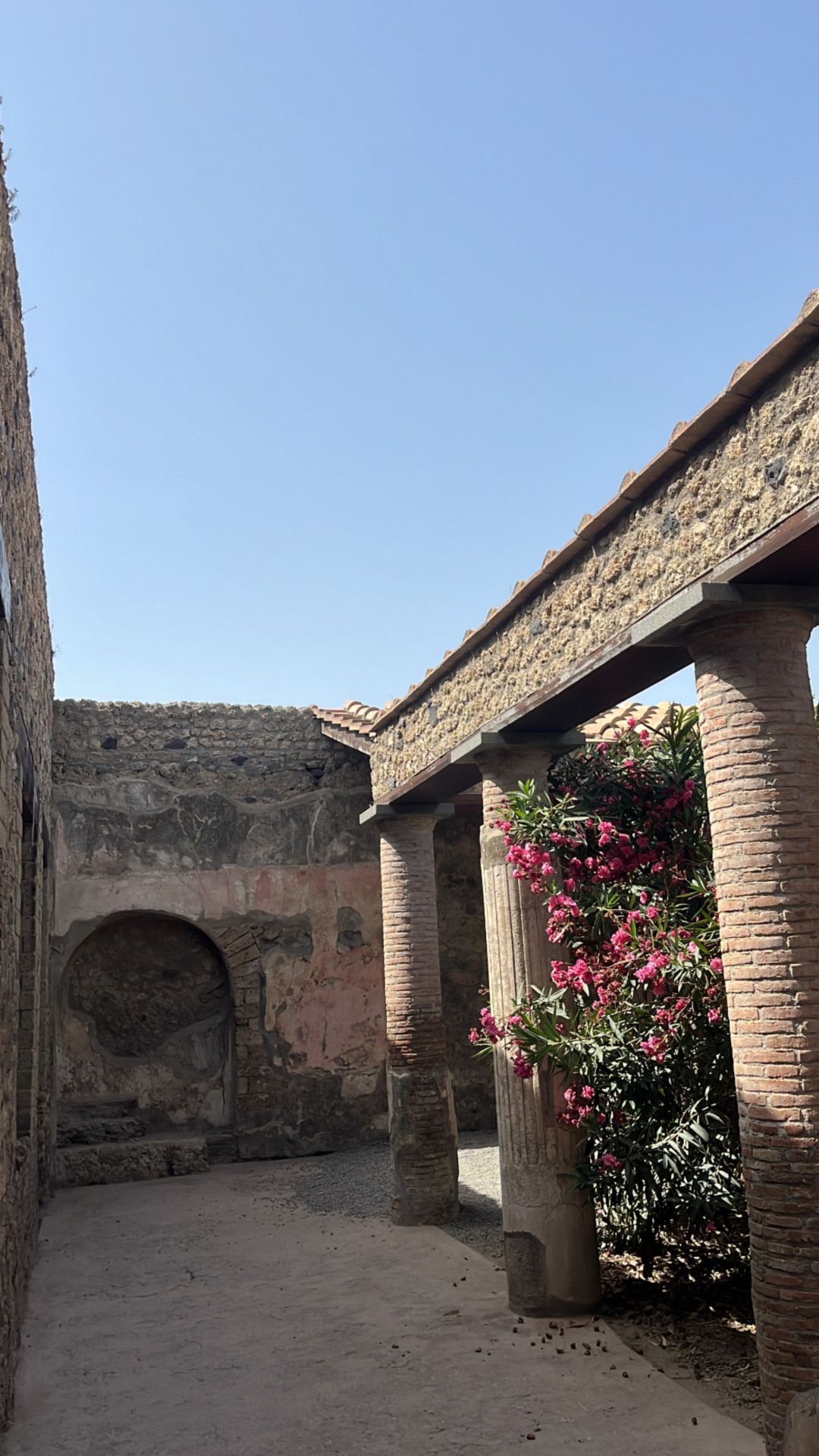 NAP02_Pompeji_2_ST_2024_hoch_003.JPG