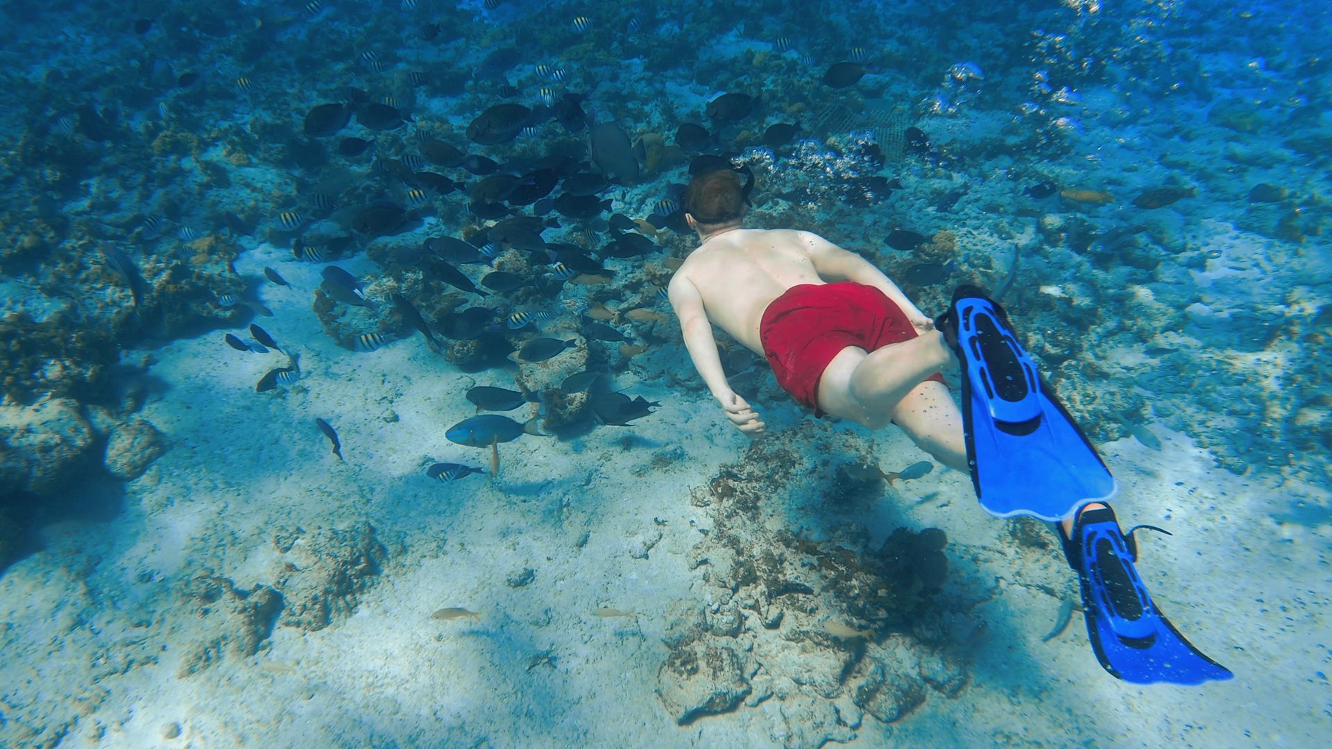 NAS33_PearlIslandSnorkeling2_2026_SunCay_quer.png