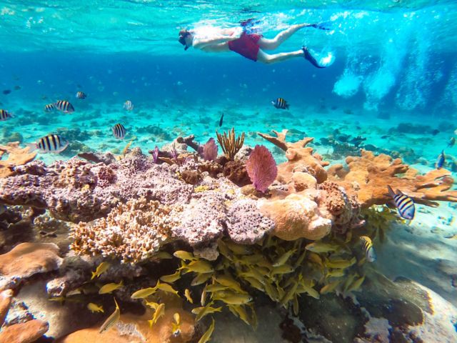NAS33_PearlIslandSnorkeling3_2026_SunCay_quer.jpg