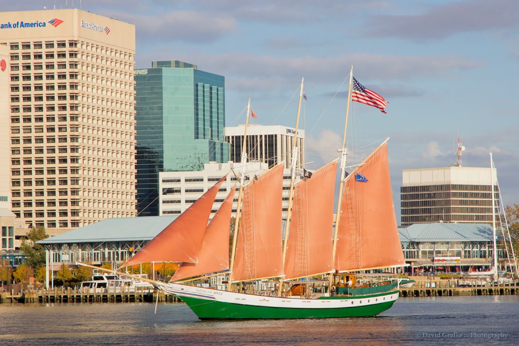 Segeltörn auf dem Elizabeth River