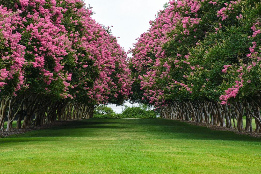 Botanischer Garten & Shopping in Norfolk