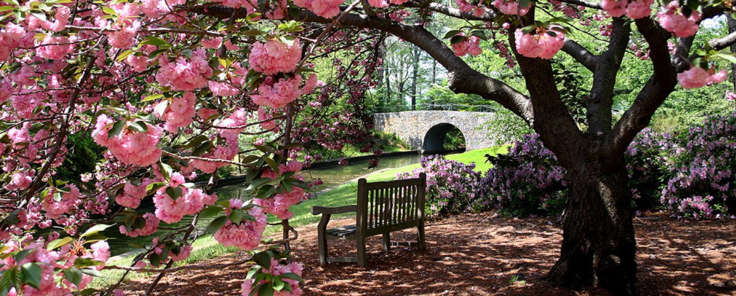 NFK10_BotanicalGardens_CreditVisitNorfolk_2026_quer_2.jpg