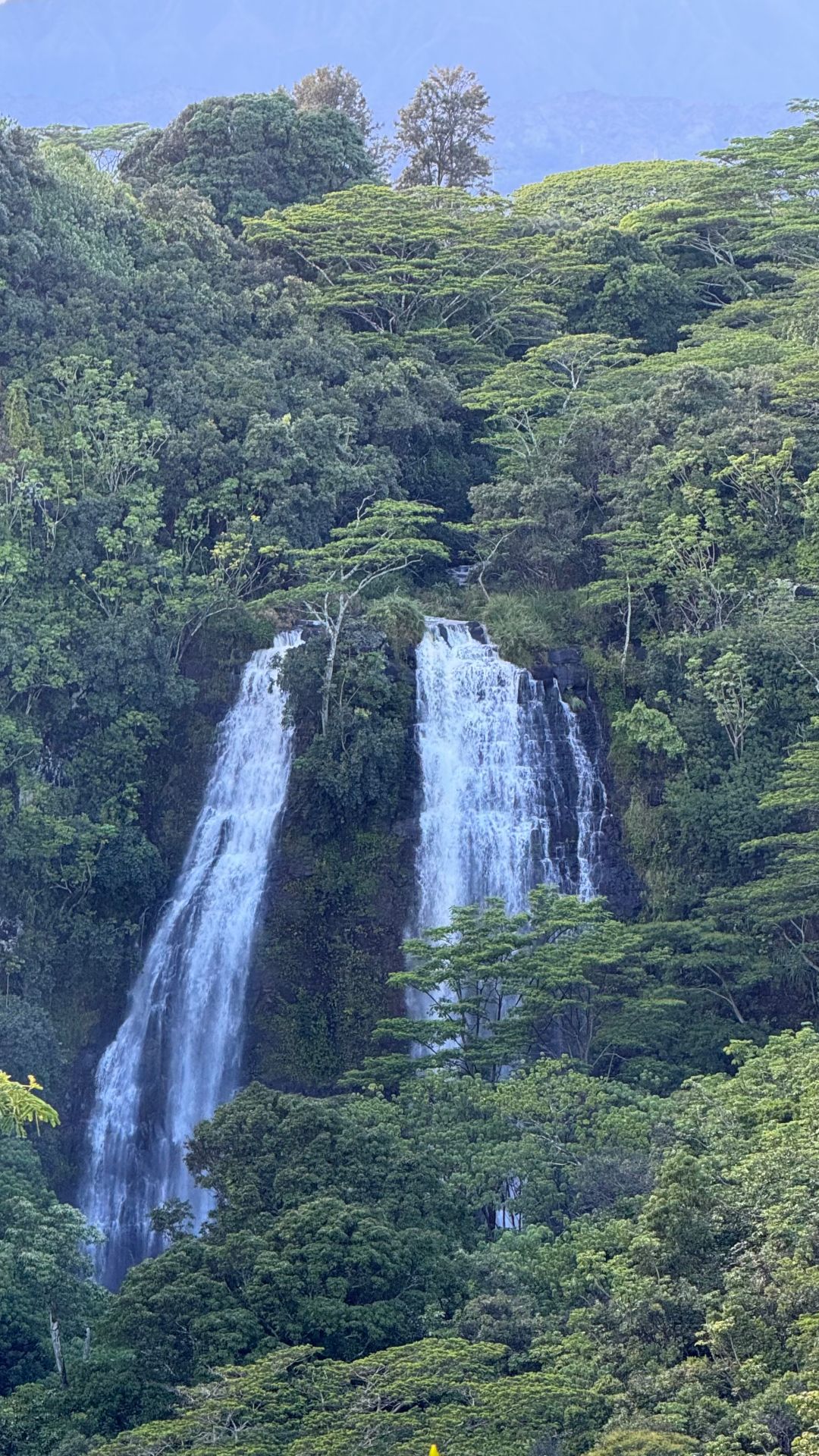 Kauai zwischen Natur und Geschichte