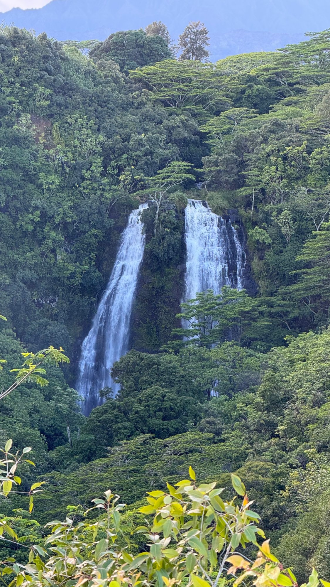 Kauai zwischen Natur und Geschichte