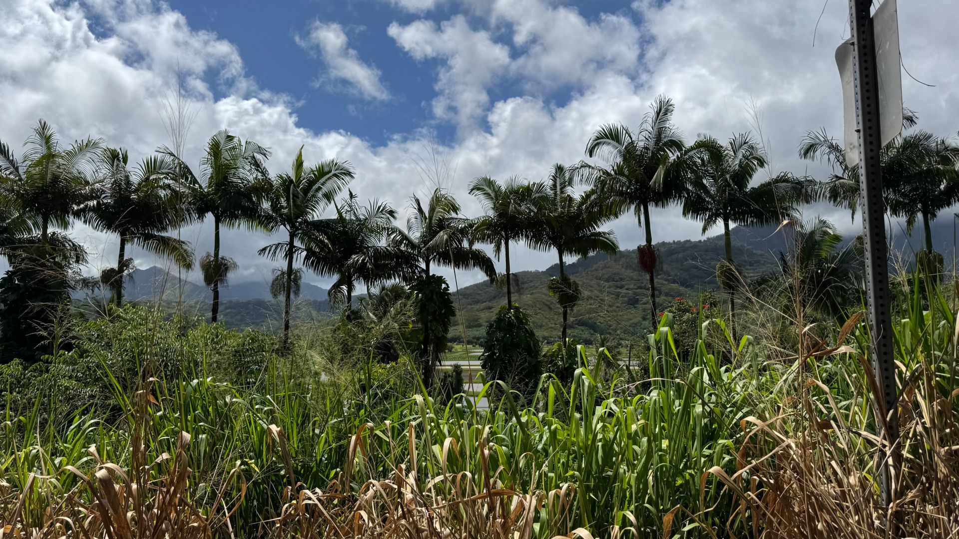 Kauai für Genießer