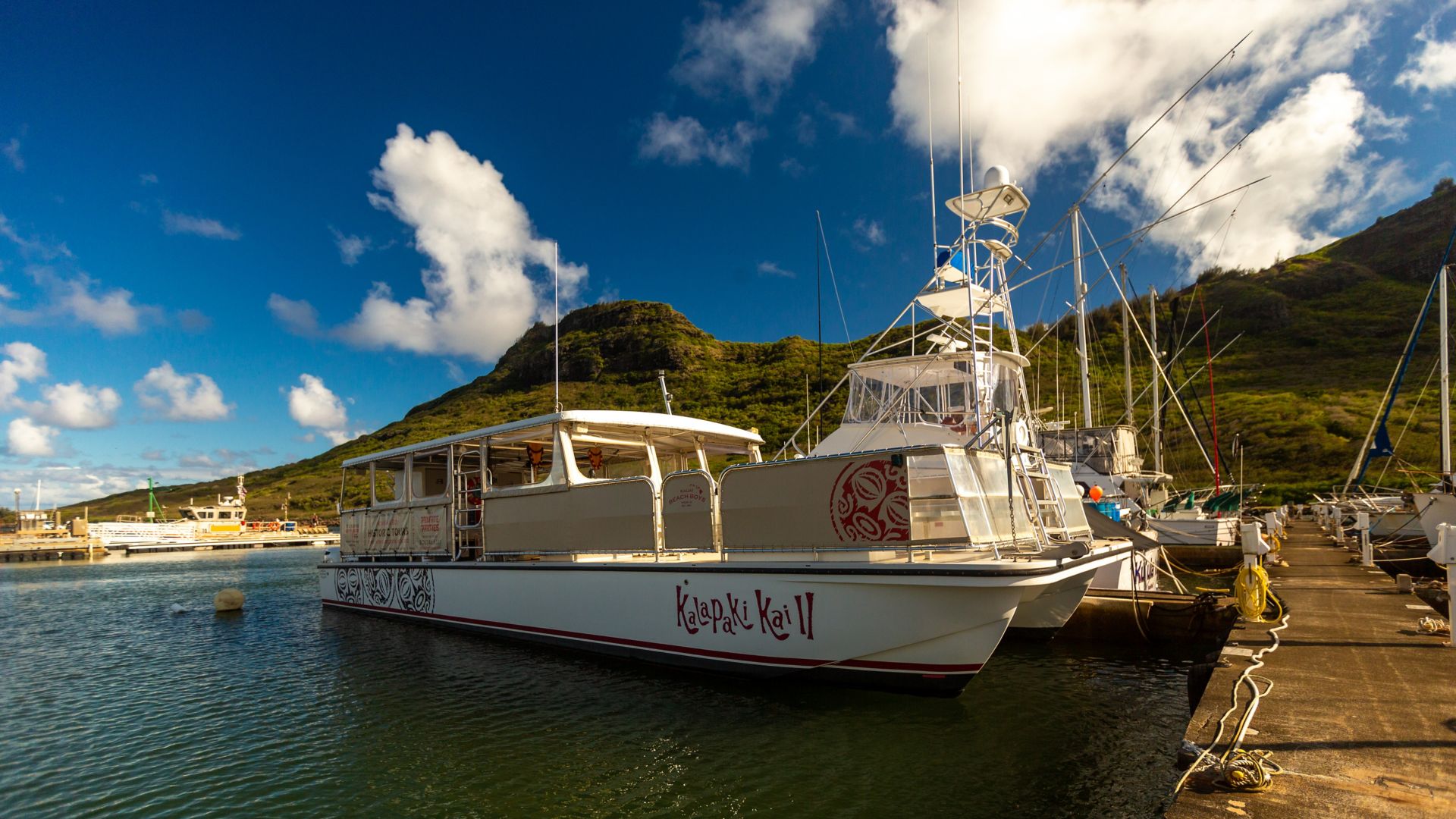 NIJ09_KalapakiHuleiaRiverCatamaranCruise1_002.jpg