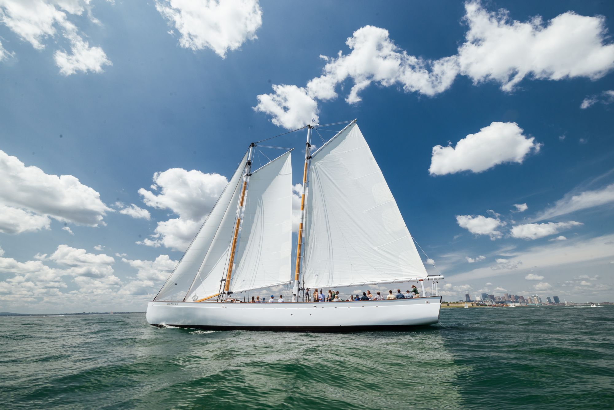 NPT11_Sailingboatside_DNA_2026_quer_1.jpg