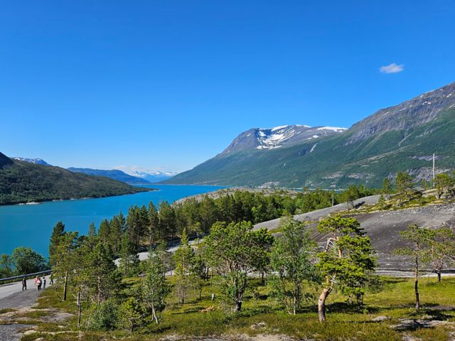 NVK03_FotostoppamReinneset2_BE_2025_quer_006.jpg