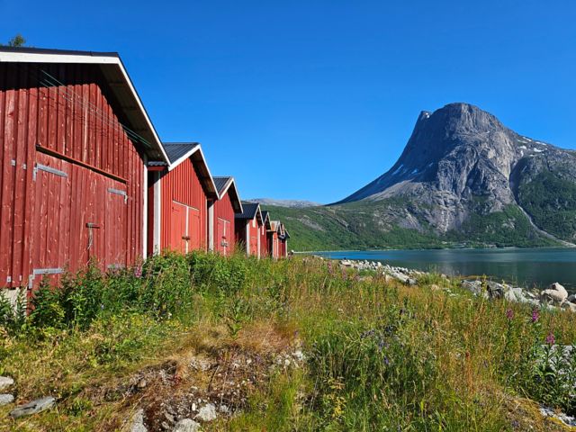 Fjorde, Gletscherblick & „Narvik by Light“