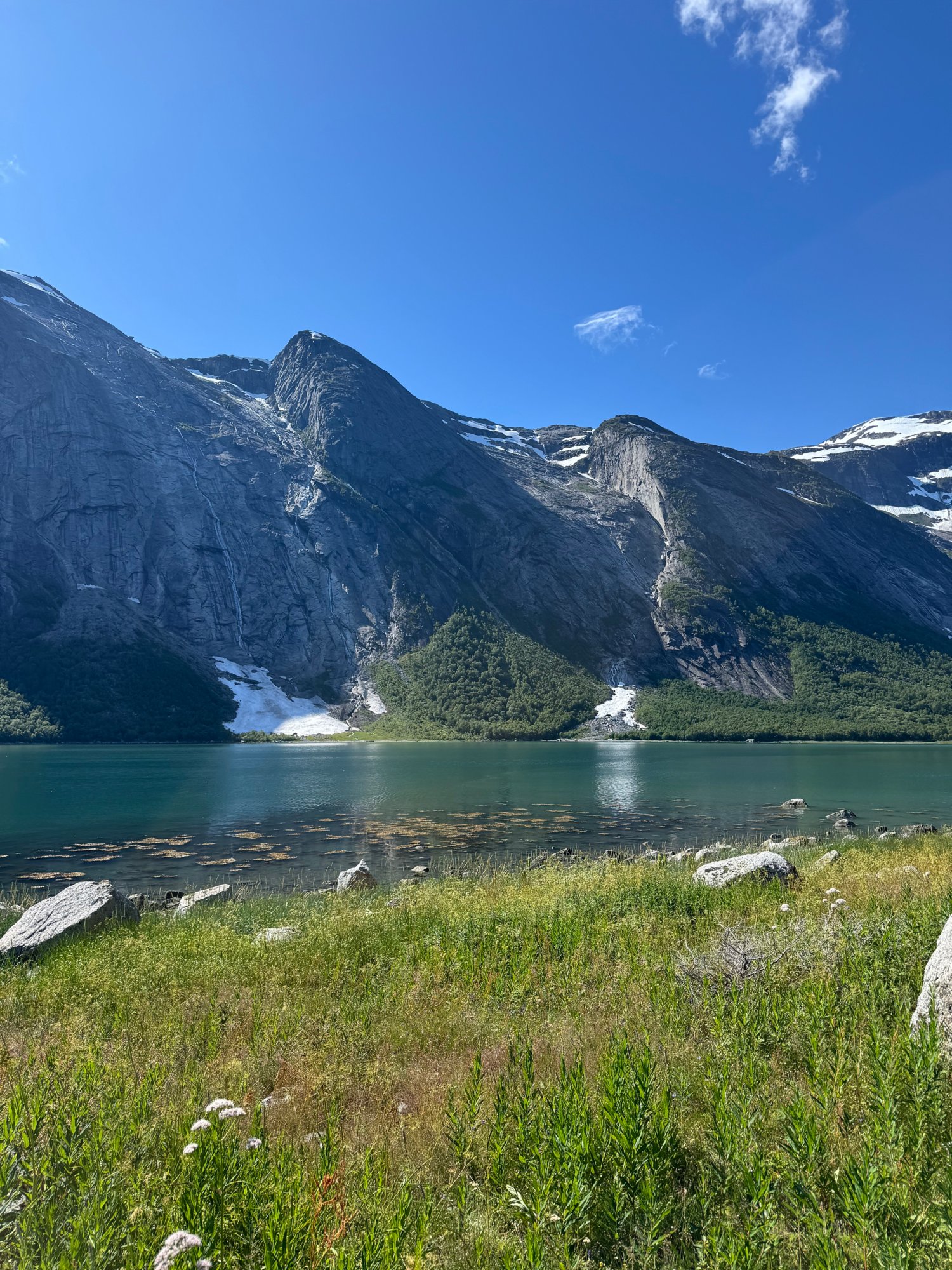 Panoramafahrt zum Skomenfjord