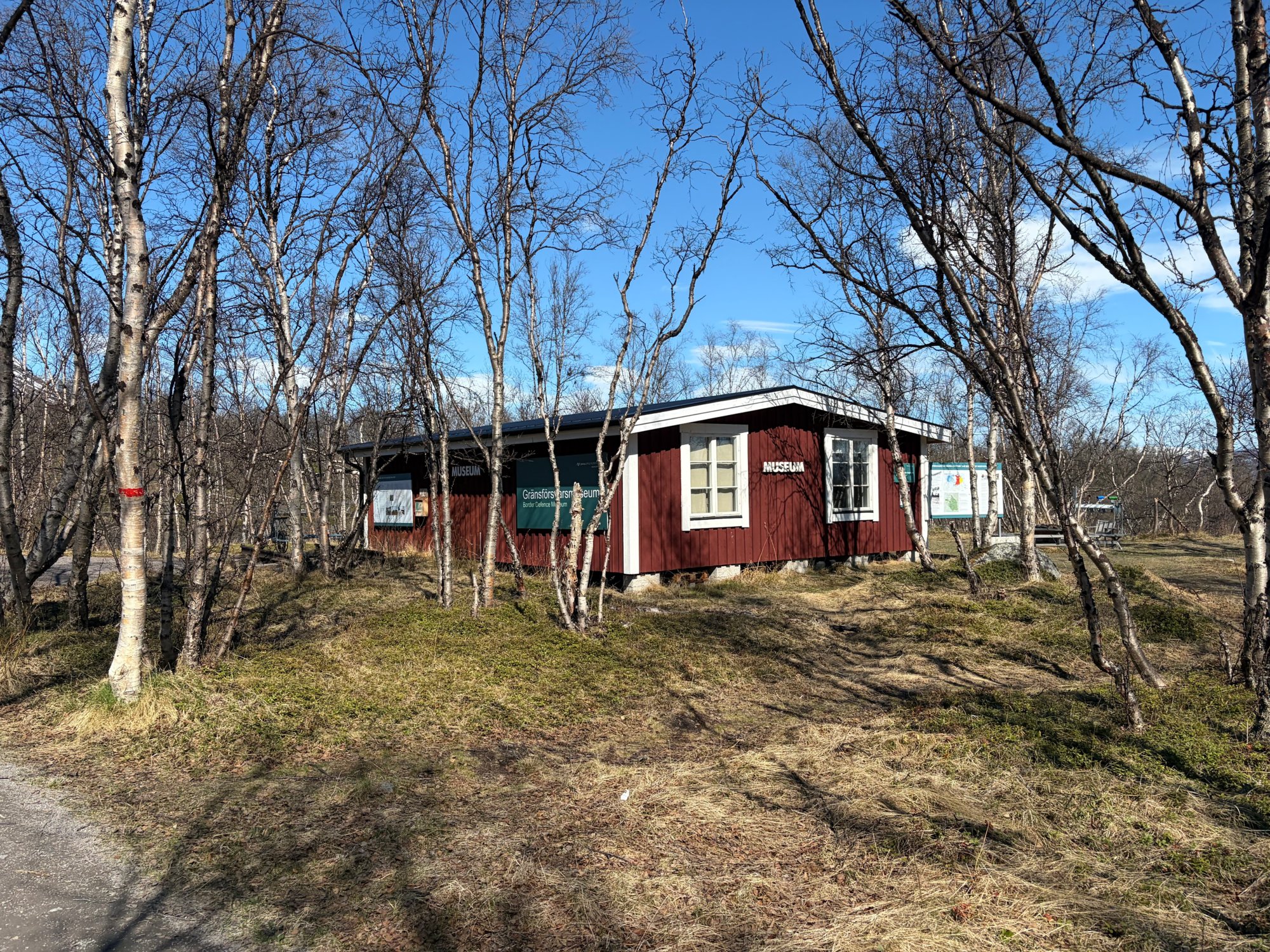 Arktische Natur erleben im Abisko Nationalpark
