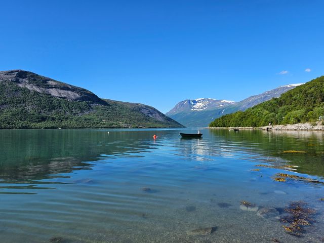 NVK15_FotostoppamReinneset4_BE_2025_quer.jpg