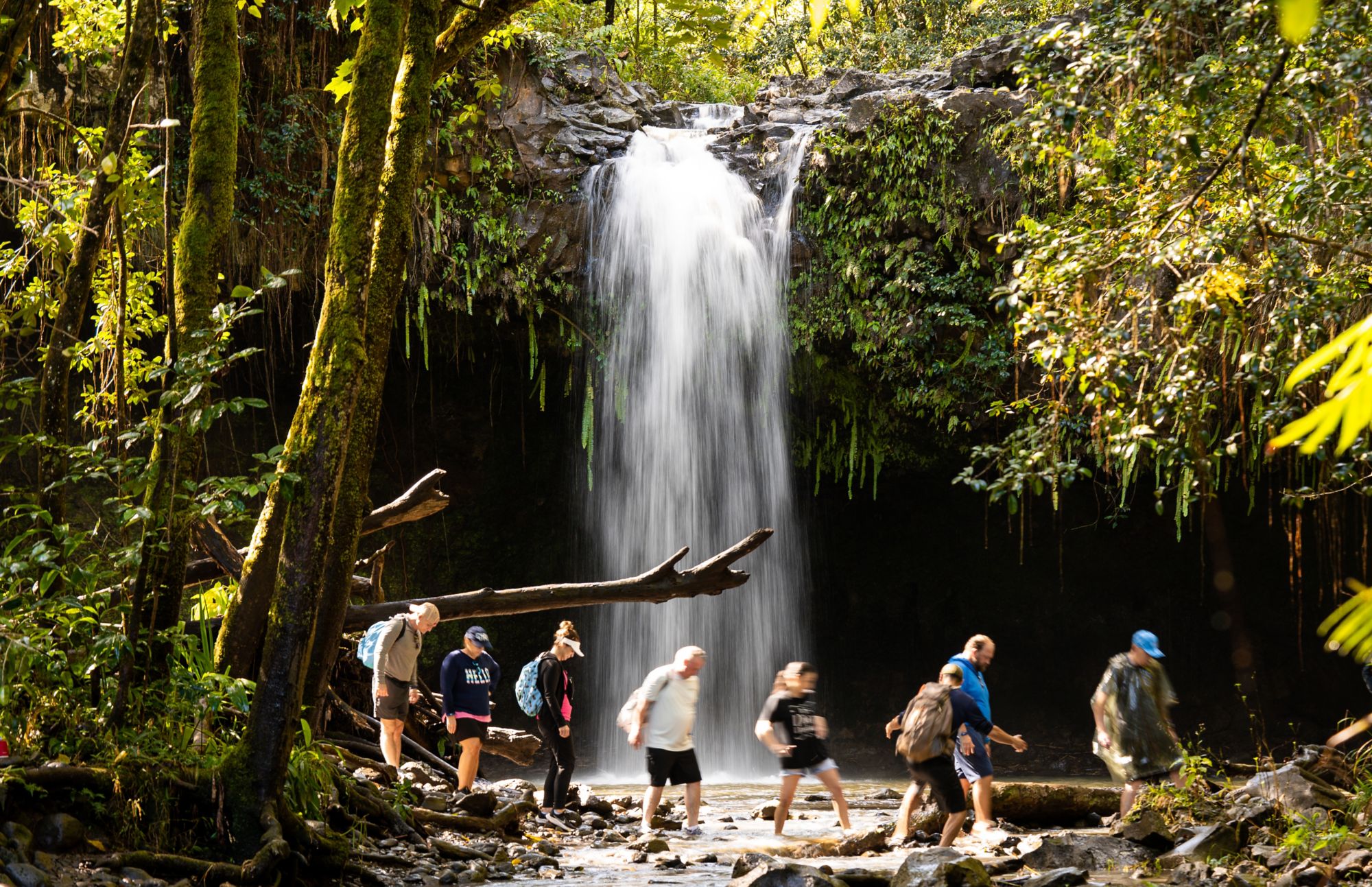 Tropisches Abenteuer: Das Tal der Wasserfälle