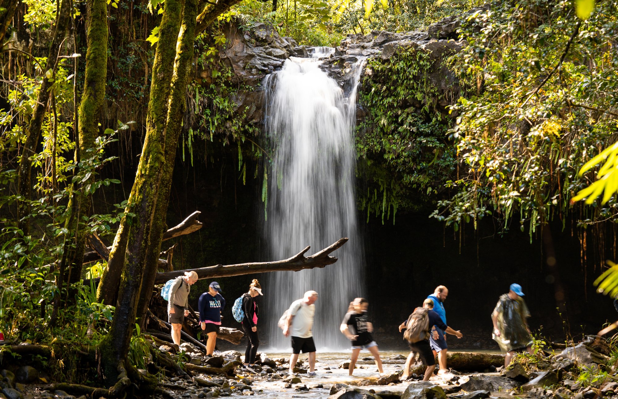 Tropisches Abenteuer: Das Tal der Wasserfälle