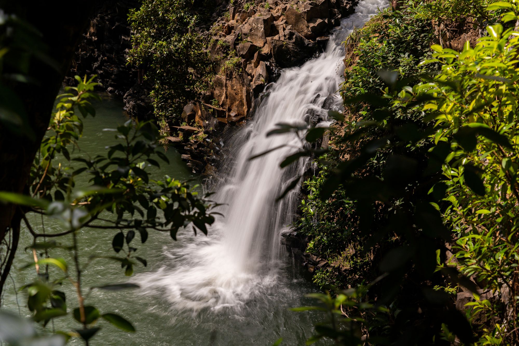 Maui entdecken