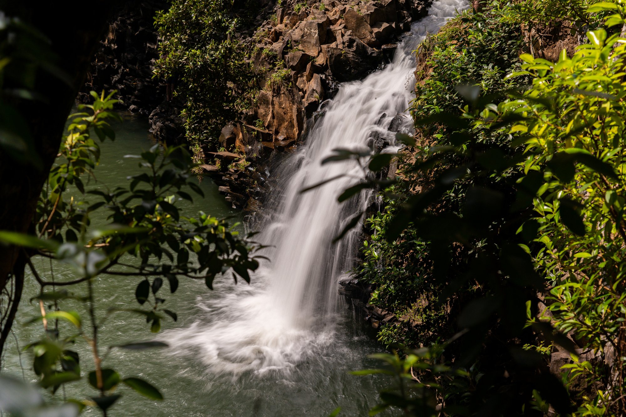Tropisches Abenteuer: Das Tal der Wasserfälle