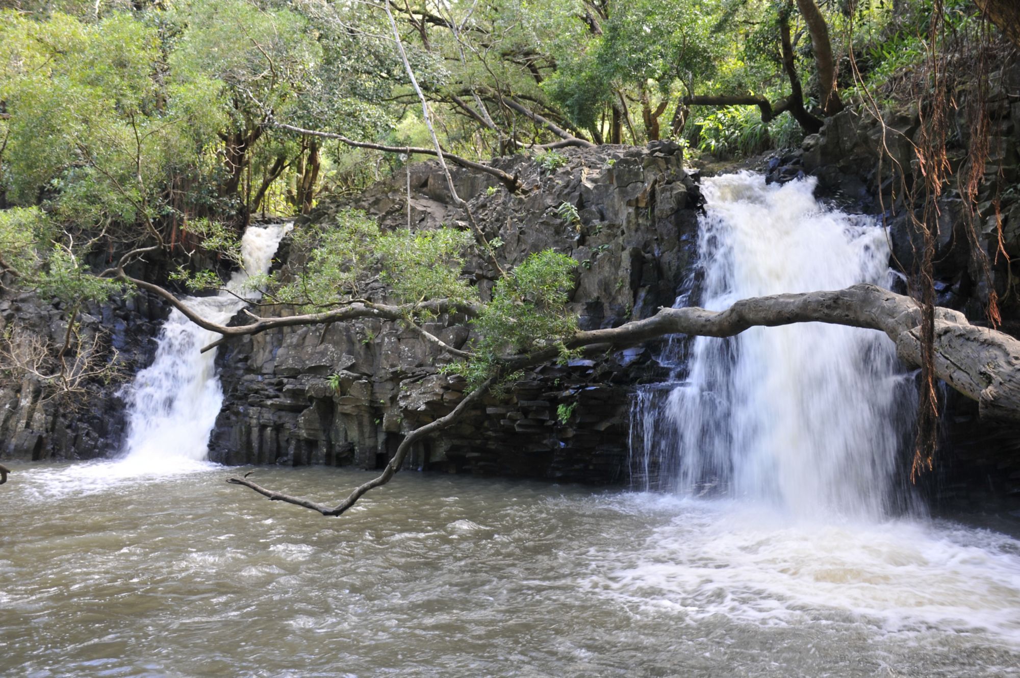OGG02_WaterfallHike_005.JPG