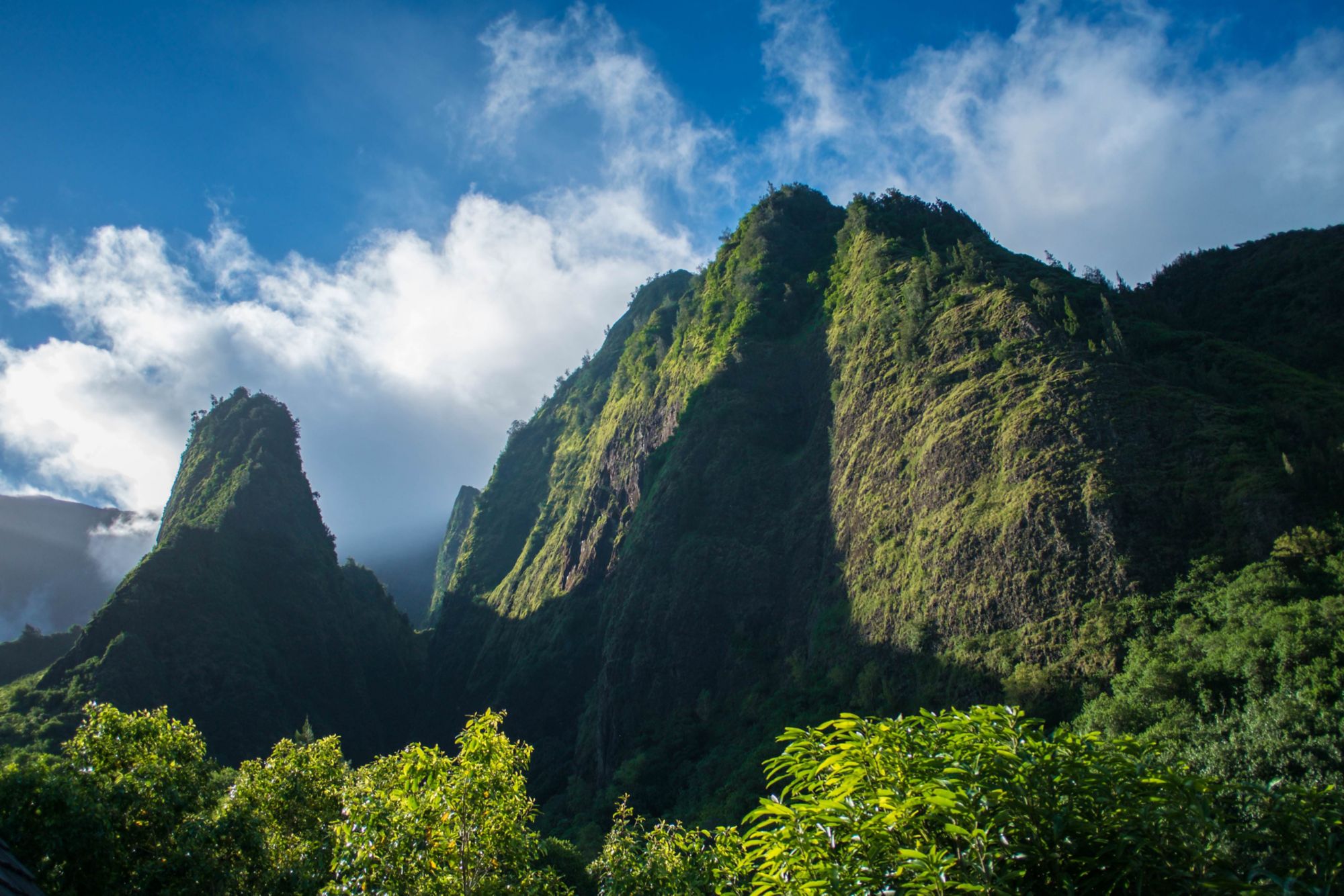 OGG05_Iao_004.jpg
