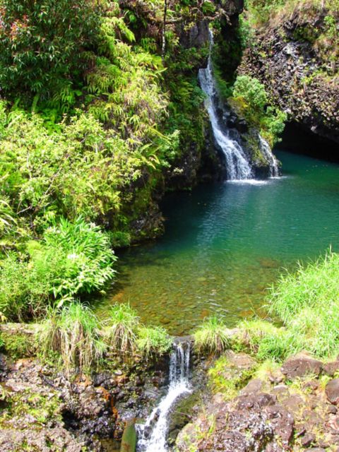 OGG07_TemptationTours-InvitingHanawi_006.jpg