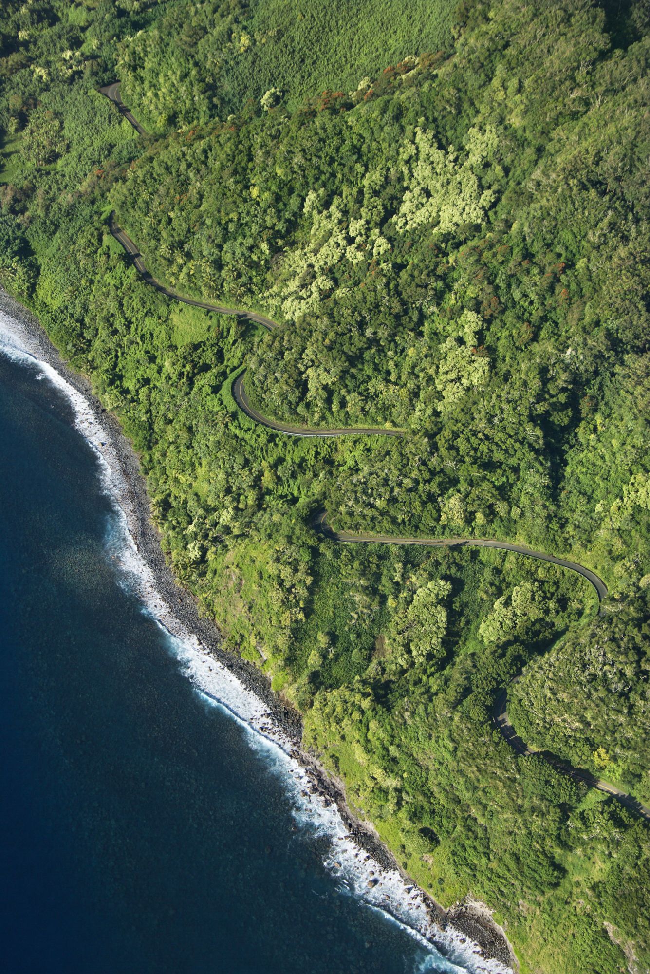 OGG07_TemptationTours-RoadtoHana_009.jpg