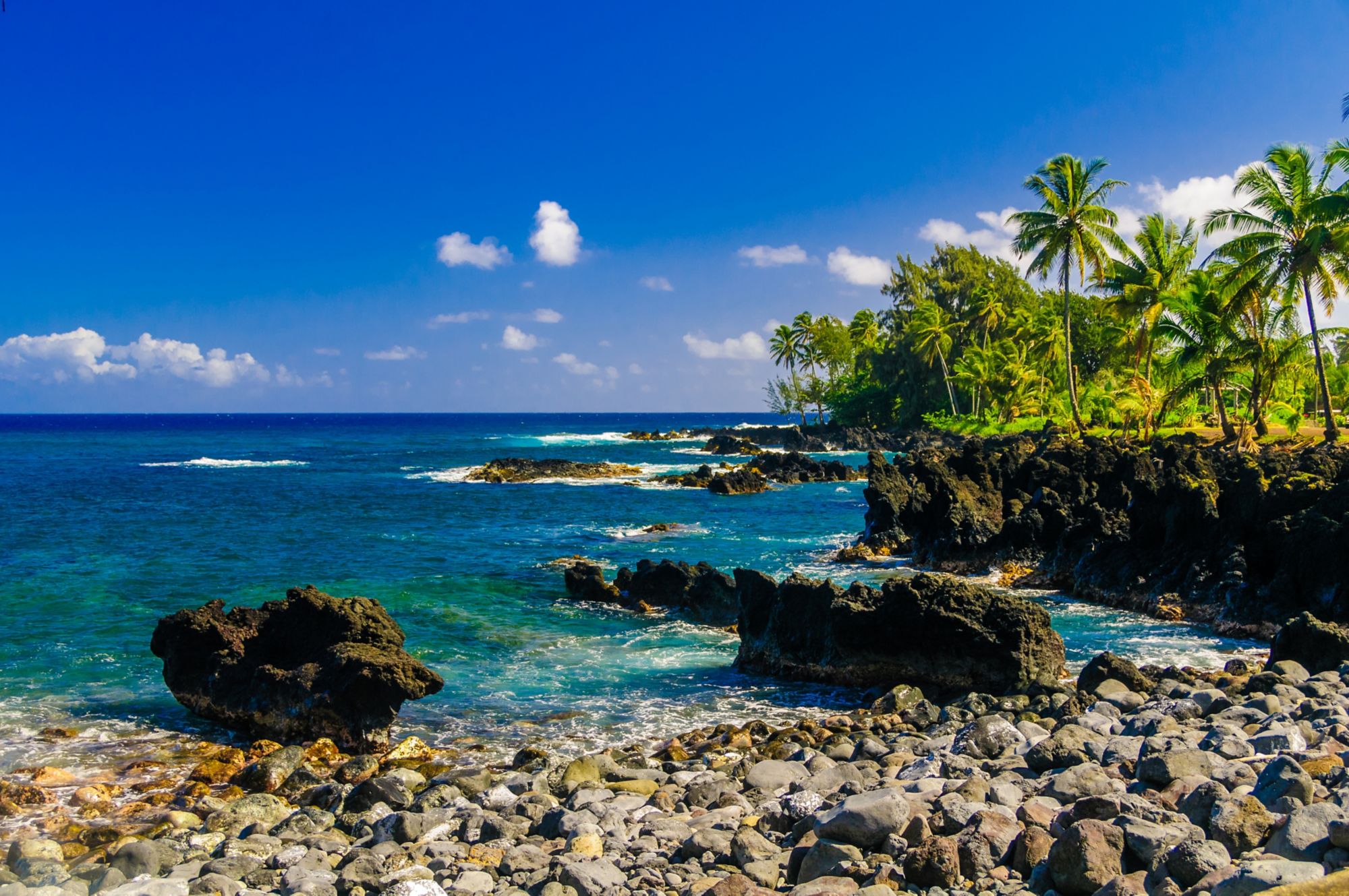 OGG07_TemptationTours-SereneKeanae-008.jpg