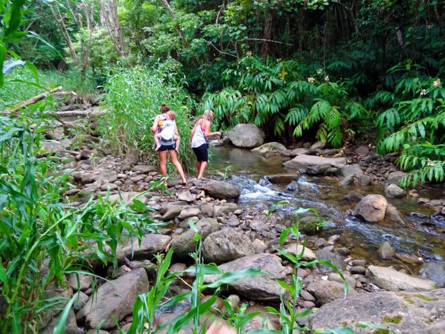 OGG11_Iao_004.JPG