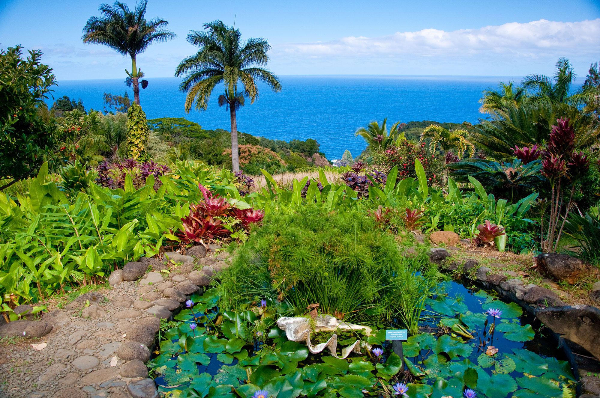 OGG11_KulaBotanicalGarden_005.jpg