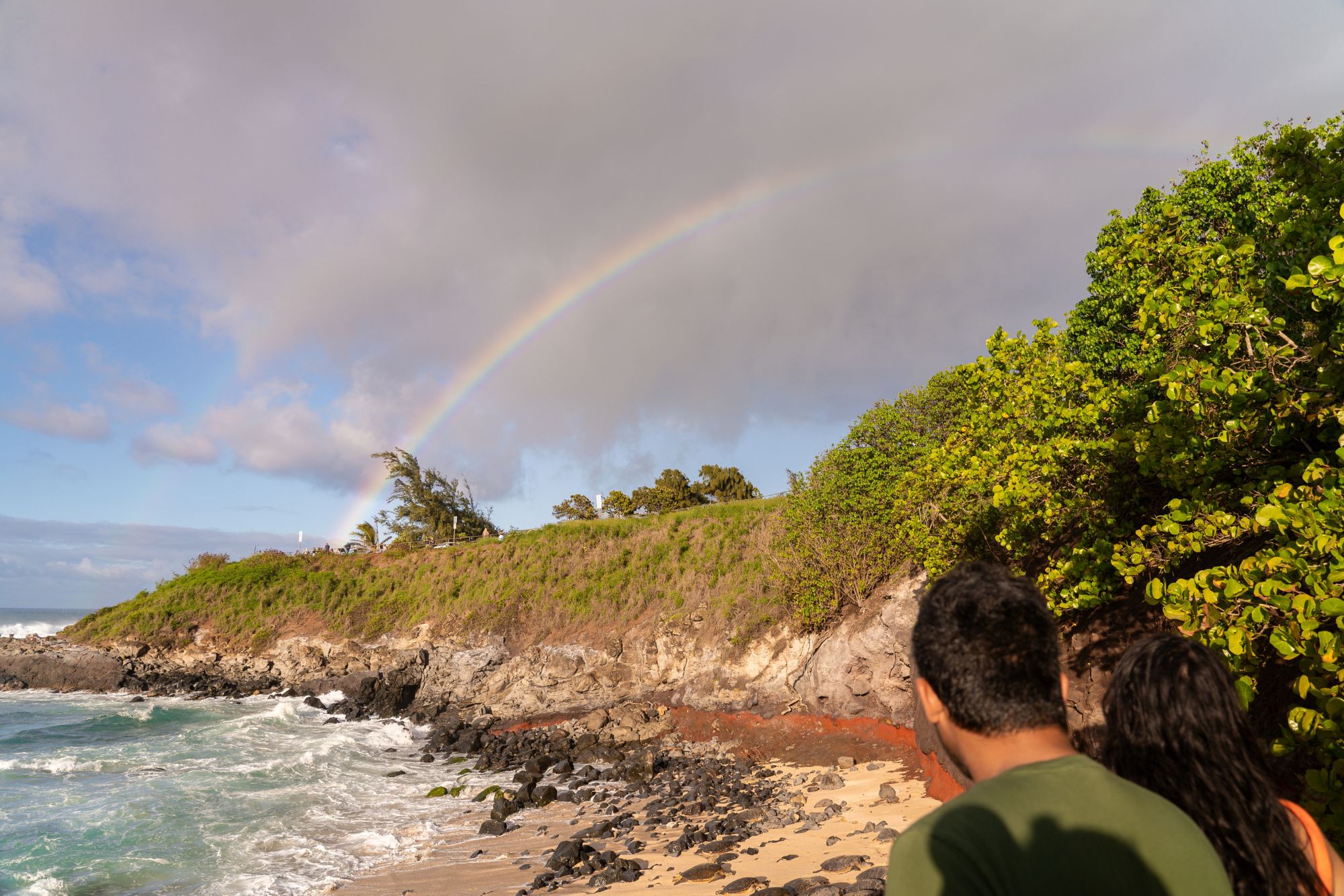 OGG12_HookiparainbowTurtle_AlohaNuiLoa_2025_quer.jpg