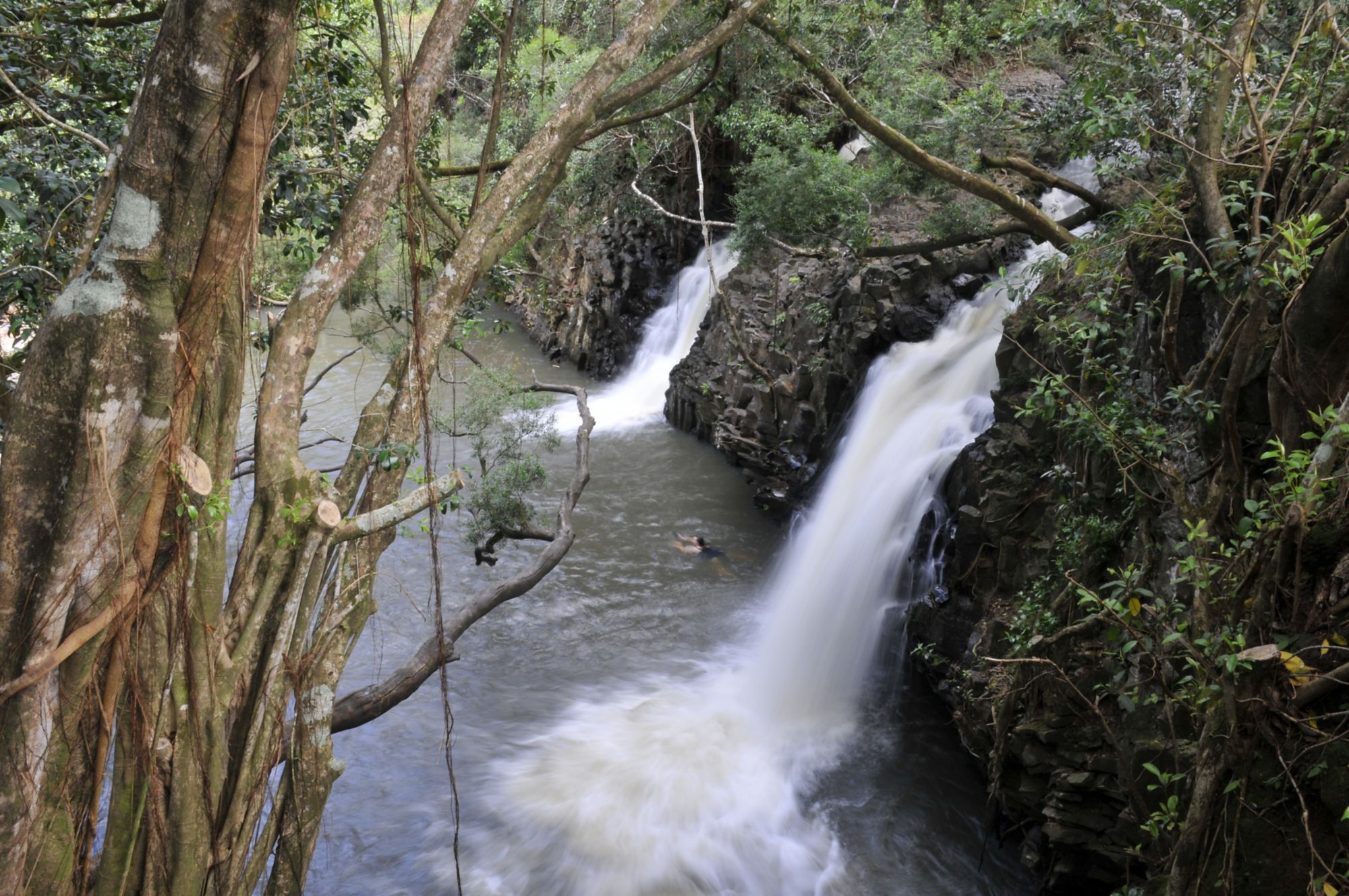 OGG12_NorthShore2_AlohaNuiLoa_2025_quer.JPG