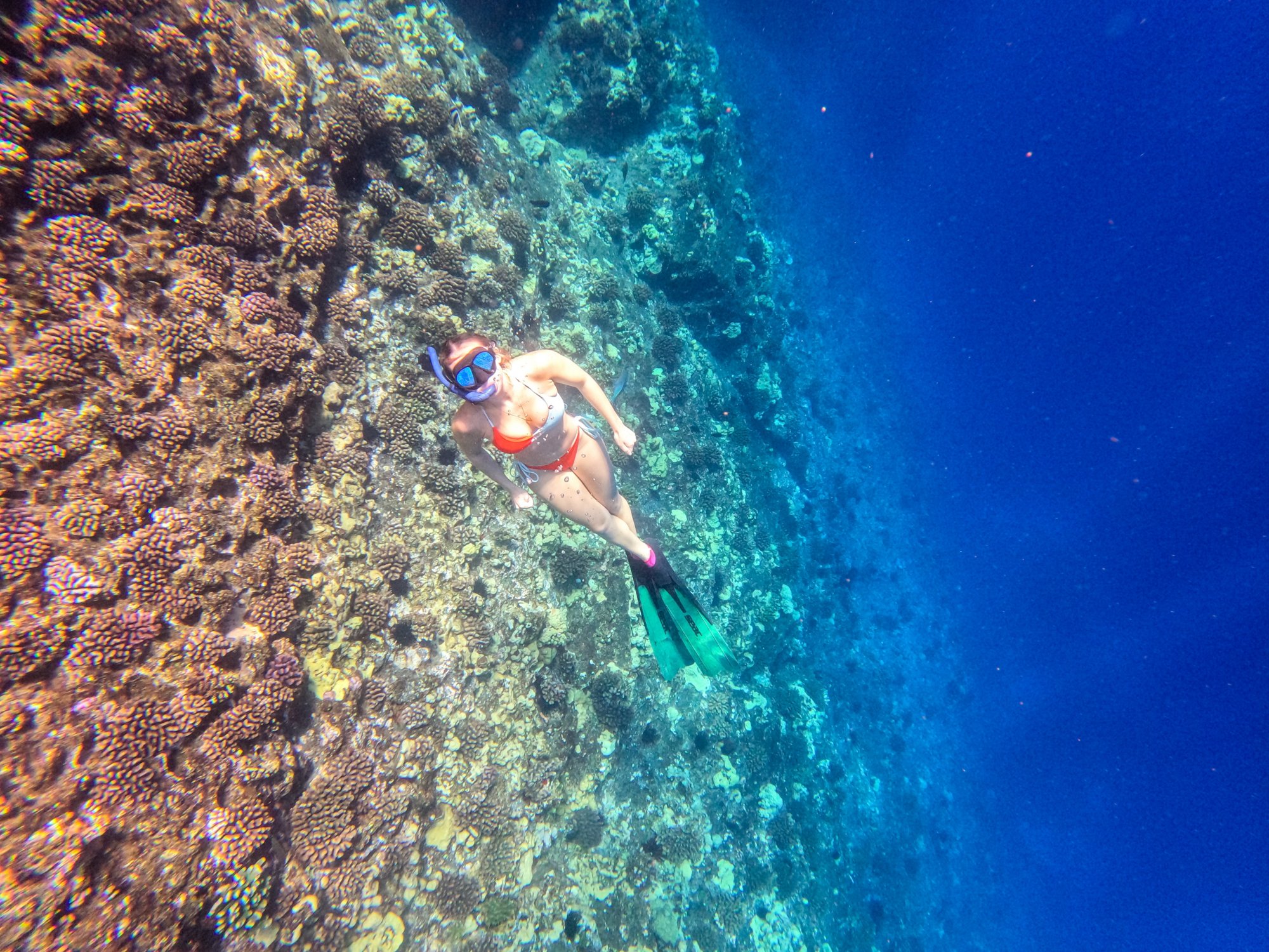 DCIM\100GOPRO\GOPR0998.JPG