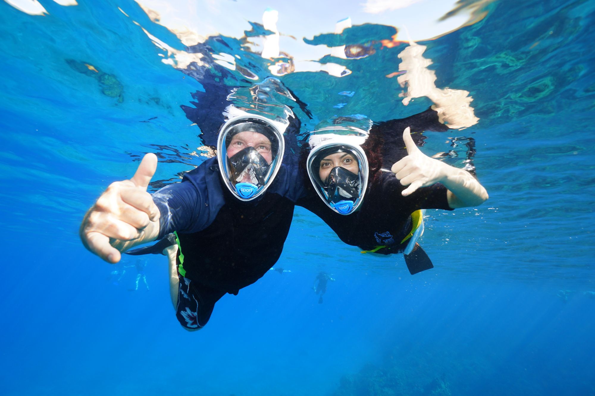 Schnorcheln am Molokini Krater und bei den Turtle Arches