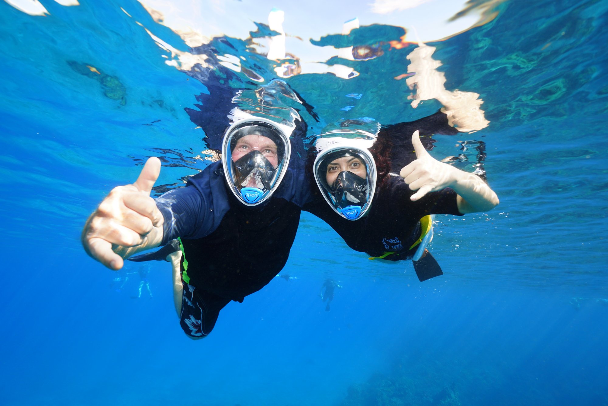 Schnorcheln am Molokini Krater und bei den Turtle Arches